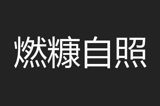 燃糠自照