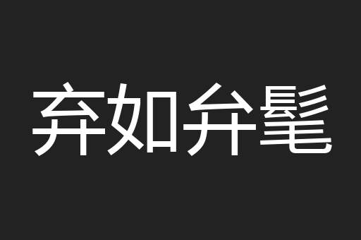 弃如弁髦