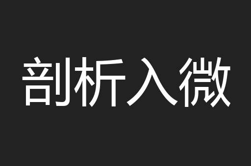 剖析入微