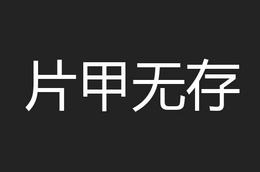 片甲无存