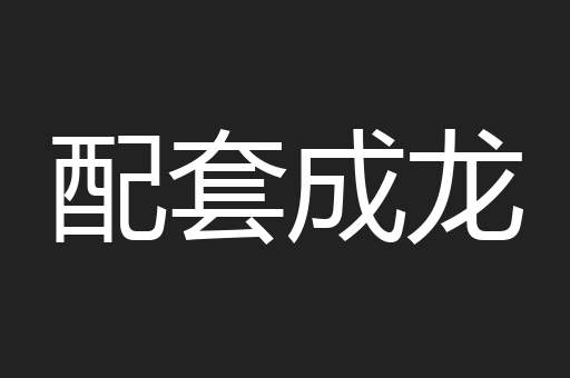 配套成龙