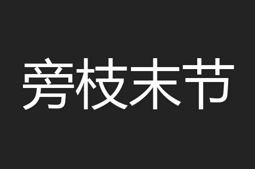 旁枝末节