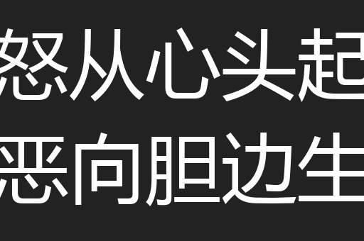 怒从心头起恶向胆边生