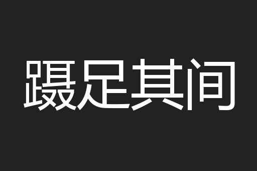 蹑足其间