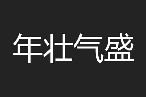 年壮气盛