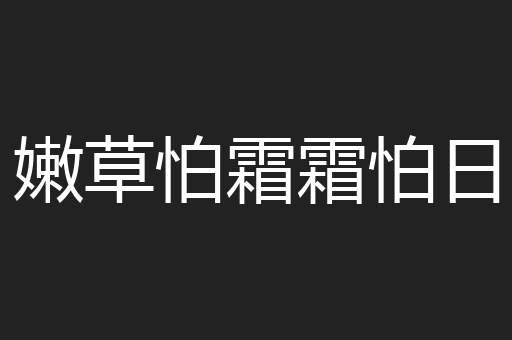 嫩草怕霜霜怕日