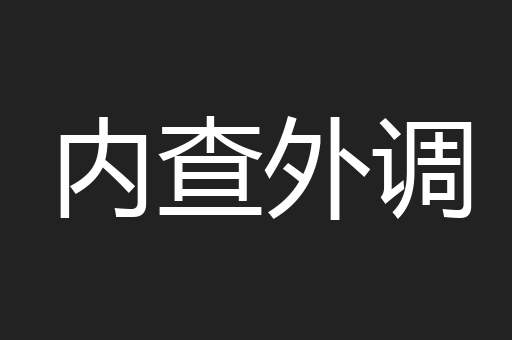 内查外调