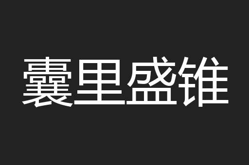 囊里盛锥