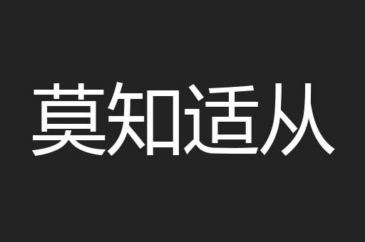 莫知适从