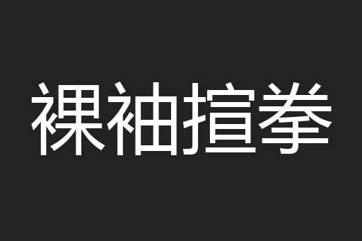 裸袖揎拳