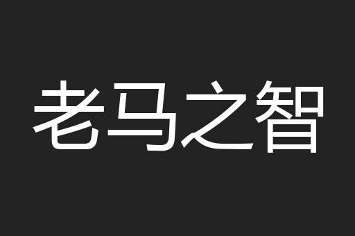 老马之智