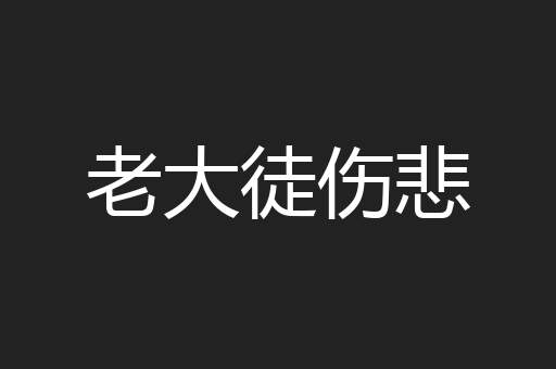 老大徒伤悲