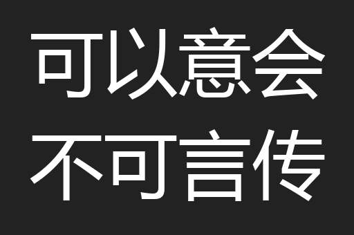 可以意会不可言传