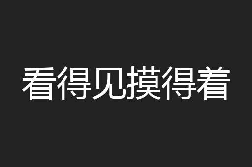看得见摸得着