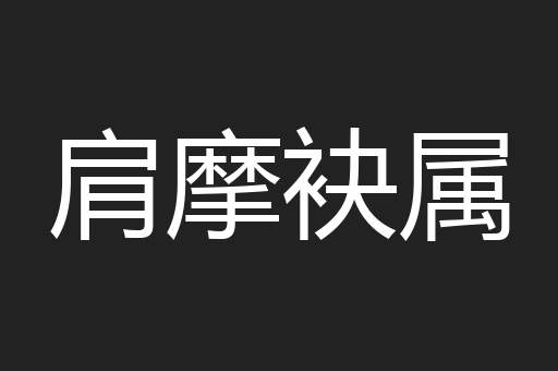 肩摩袂属