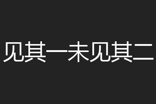 见其一未见其二