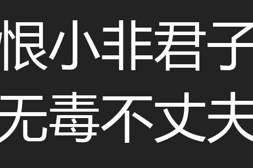恨小非君子无毒不丈夫