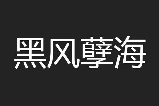 黑风孽海
