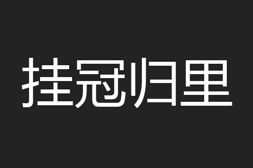 挂冠归里