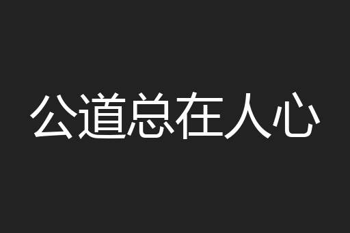 公道总在人心