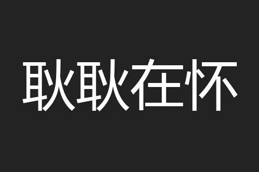 耿耿在怀