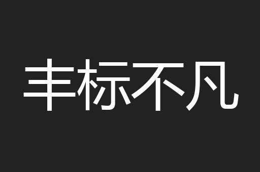 丰标不凡