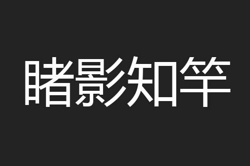 睹影知竿