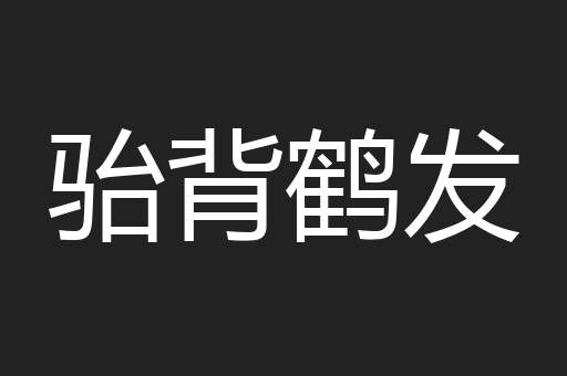 骀背鹤发