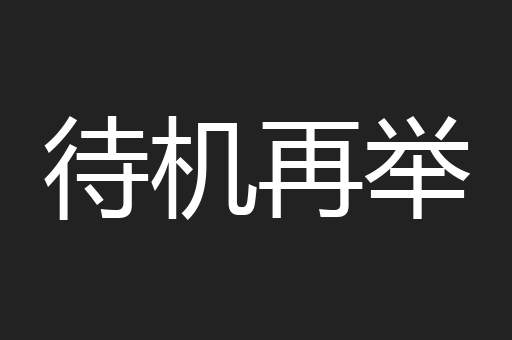 待机再举