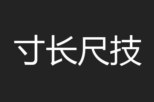 寸长尺技