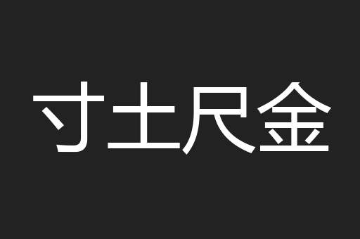 寸土尺金