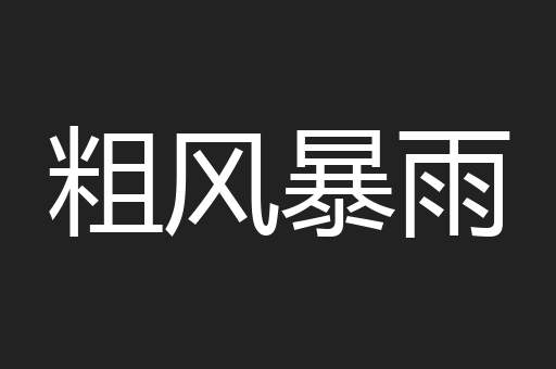 粗风暴雨