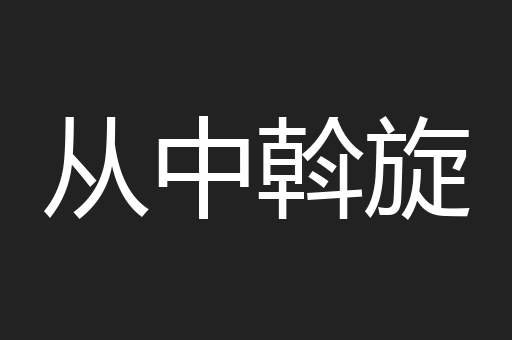 从中斡旋