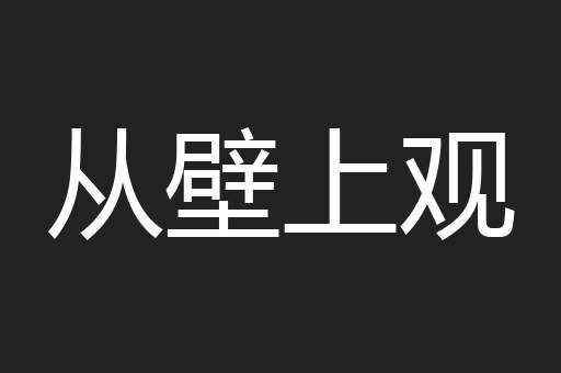 从壁上观