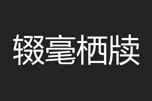 辍毫栖牍
