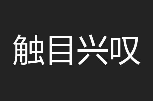 触目兴叹