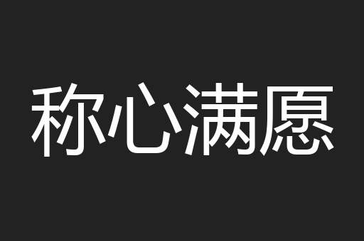称心满愿
