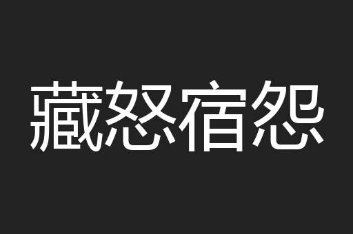 藏怒宿怨