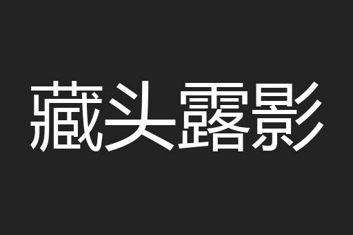 藏头露影