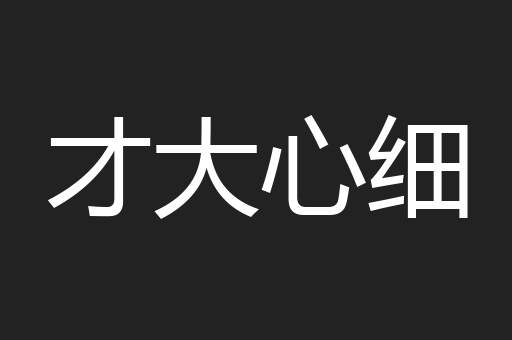 才大心细