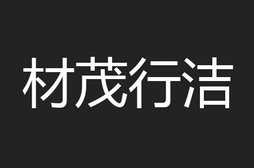 材茂行洁