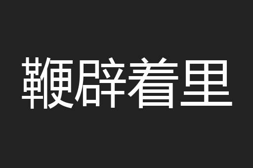 鞭辟着里