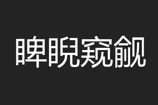睥睨窥觎