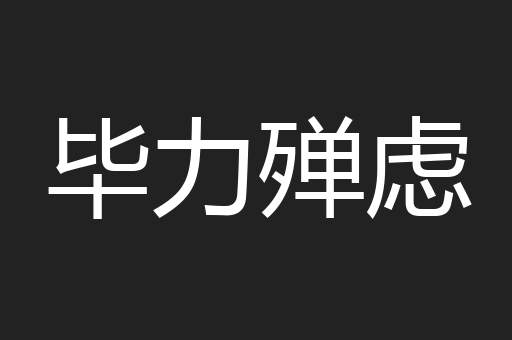 毕力殚虑