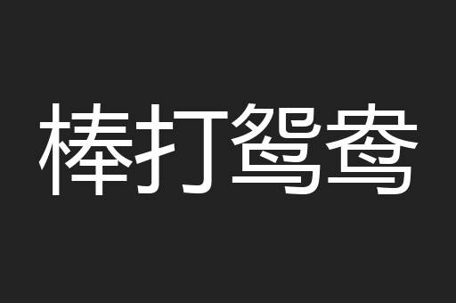棒打鸳鸯